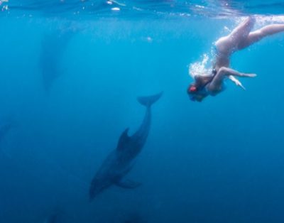 Shimoni Reef Lodge