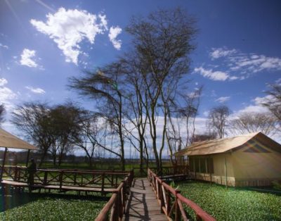 Kiboko Luxury Camp