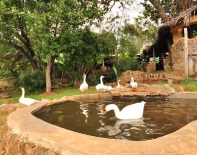 Naiberi River Campsite & Resort